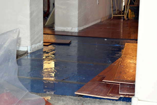 Professional Burst Pipe Cleanup technician working in Sanford, MI